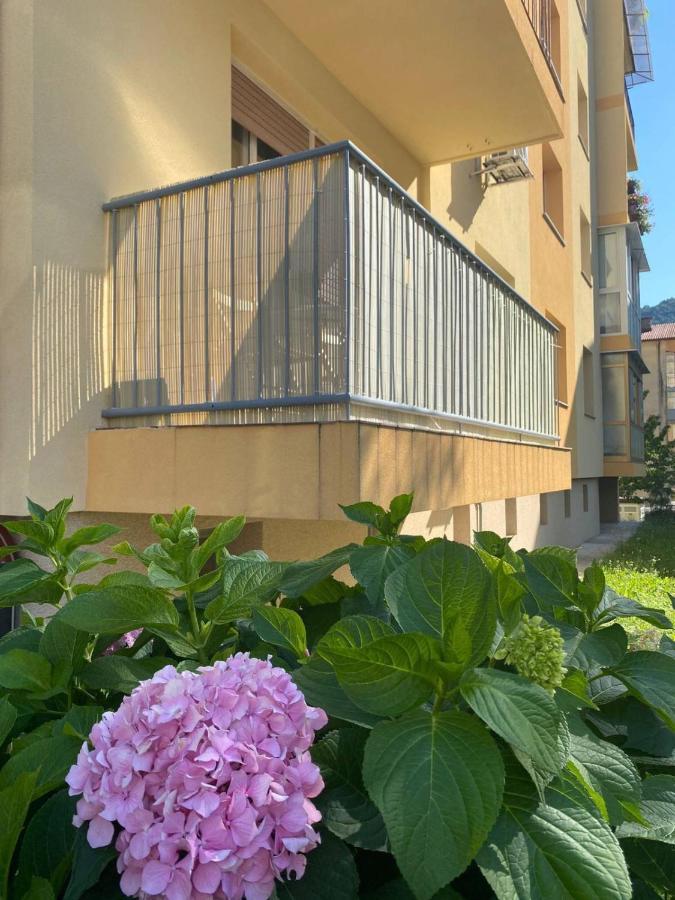 Apartment Nakit