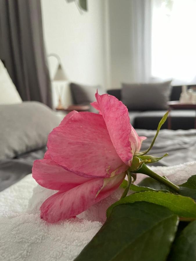 Nakit Apartment *